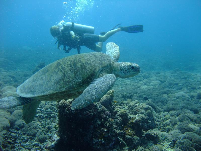 Ricel Homestay Gili Trawangan Exterior foto